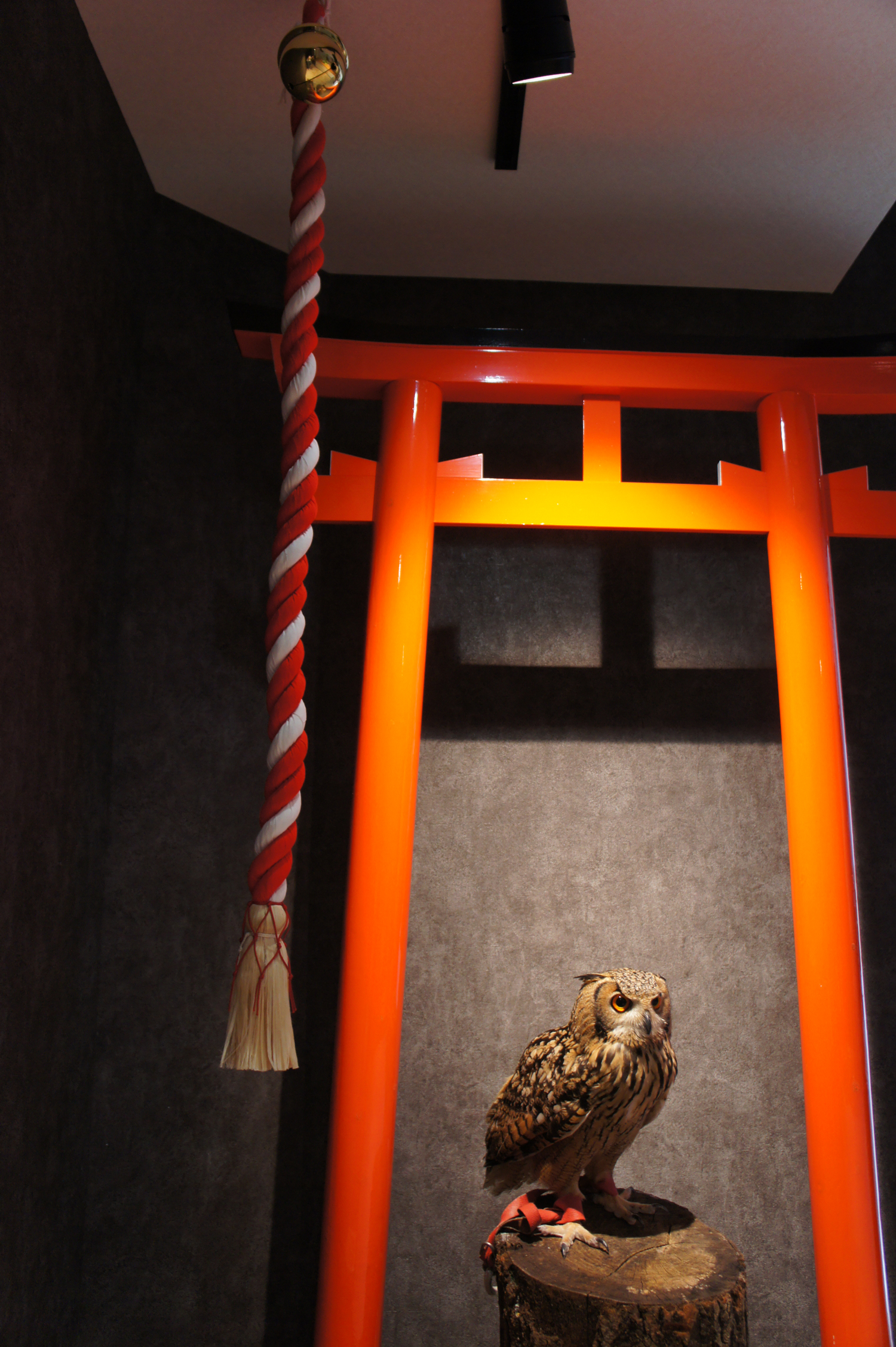 神社をイメージした内装