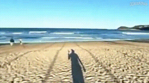 一面のビーチ！