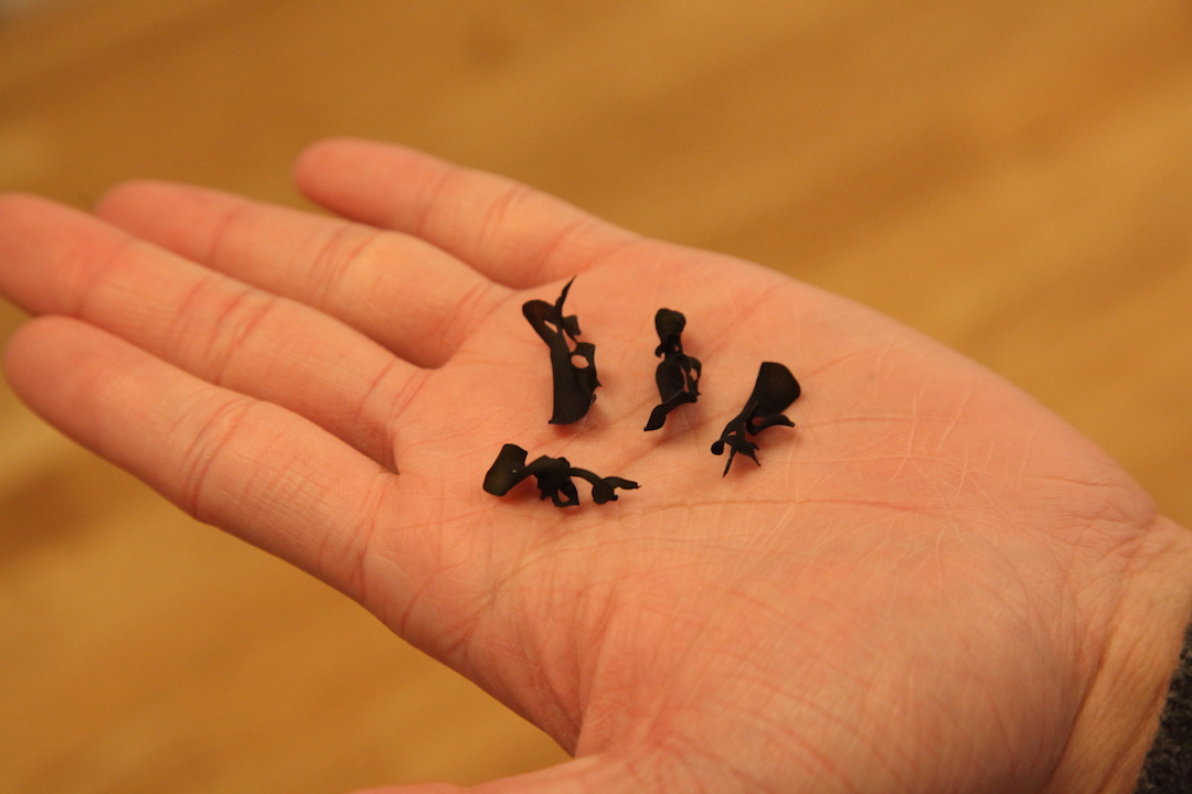 ただの乾燥昆布