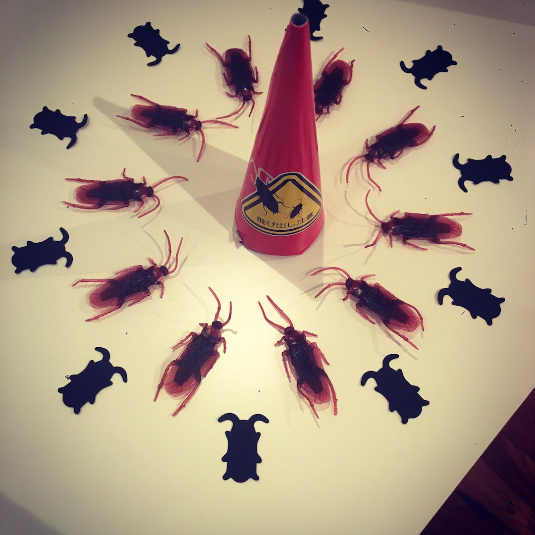 instagram映えしそうに並べてみた。