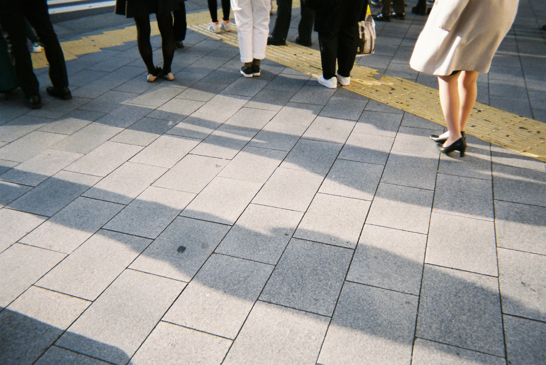 photo1