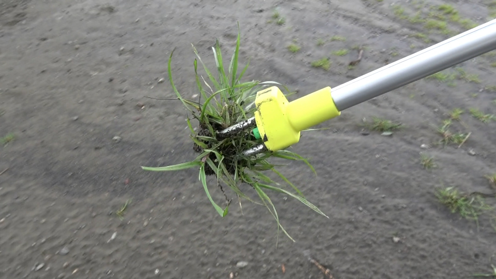 スウェーデン製の超絶楽チン雑草抜き用道具 スピーディーウィーディー