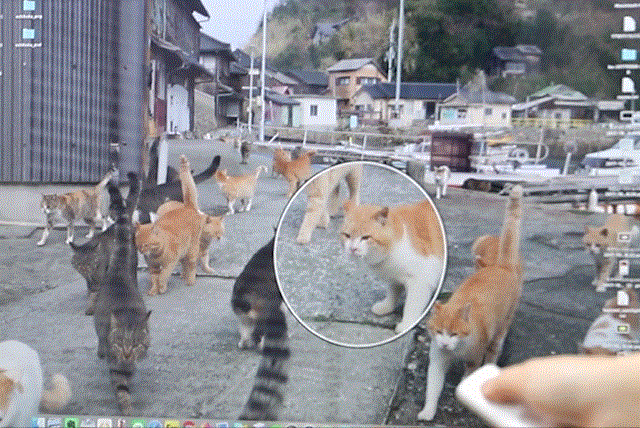 使っている様子