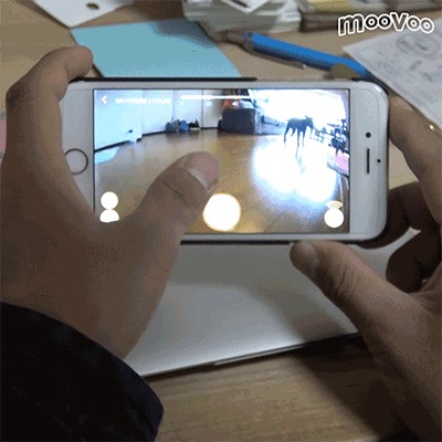 おやつをあげる