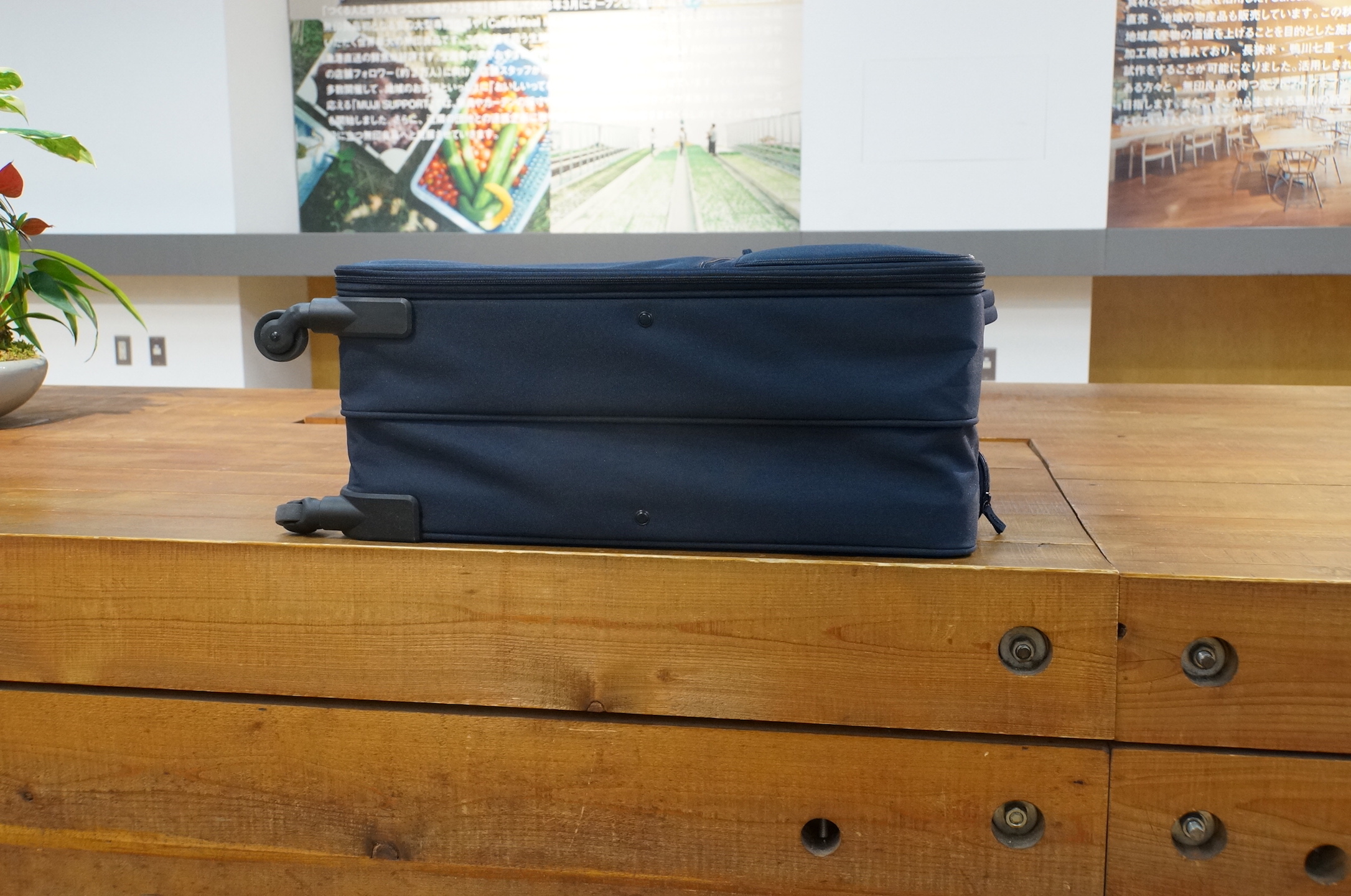 ソフトキャリー