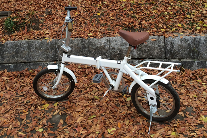 落ち葉と折りたたみ自転車