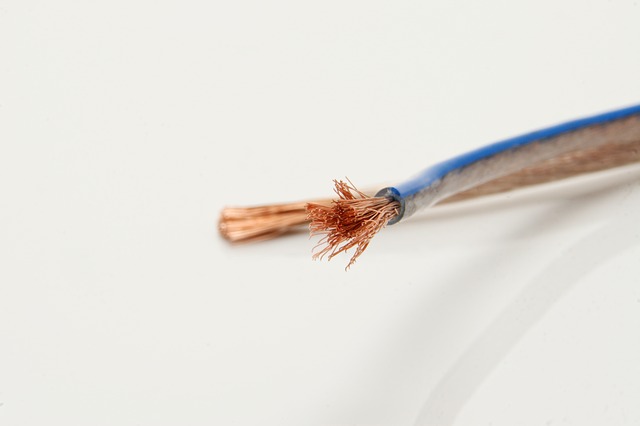 スピーカーケーブルの先端