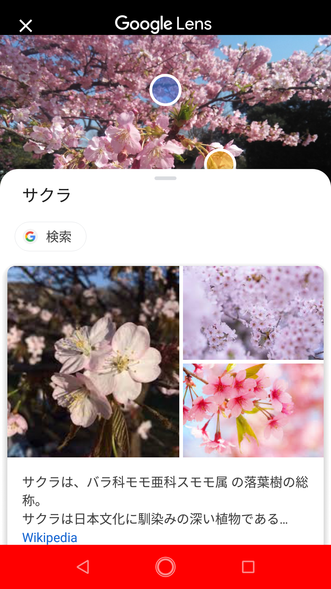 Googleフォトのスクリーンショット