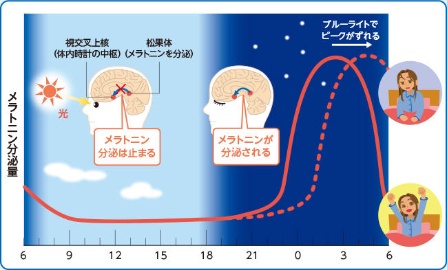 ブルーライトが睡眠とメラトニンに及ぼす影響