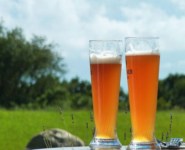 ビールピルスナーグラス