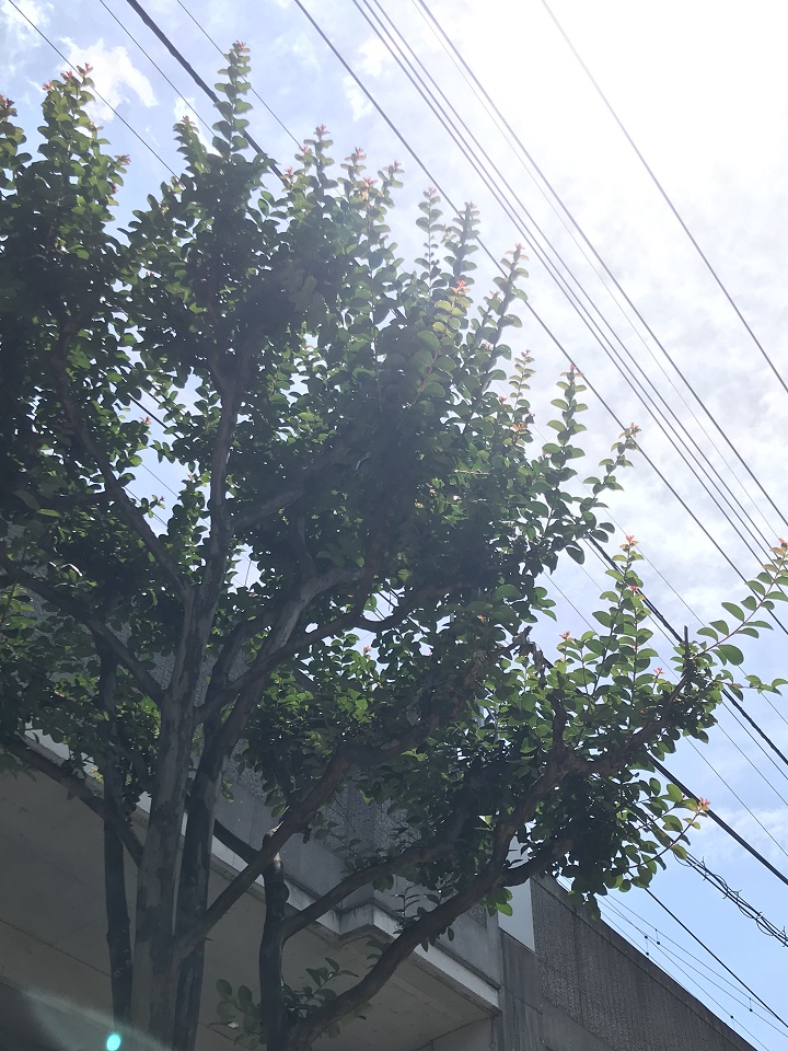HDRあり