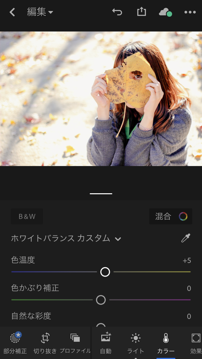 カメラマン直伝 一眼レフ風に撮れるアプリ５選