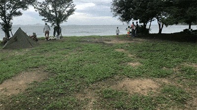 丸山県民サンビーチの林間サイト