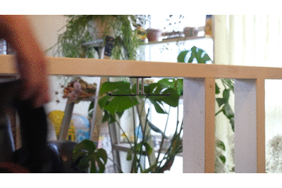 デュアルヘッドホンスタンド 強着式（型番：NB-HSTA05UD ）にヘッドホンをかけるgif