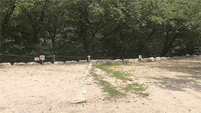八風キャンプ場オート区画1