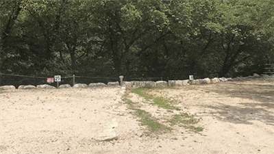 八風キャンプ場オート区画1