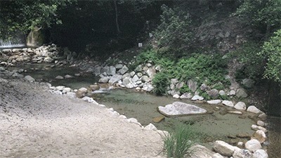 八風キャンプ場川遊び