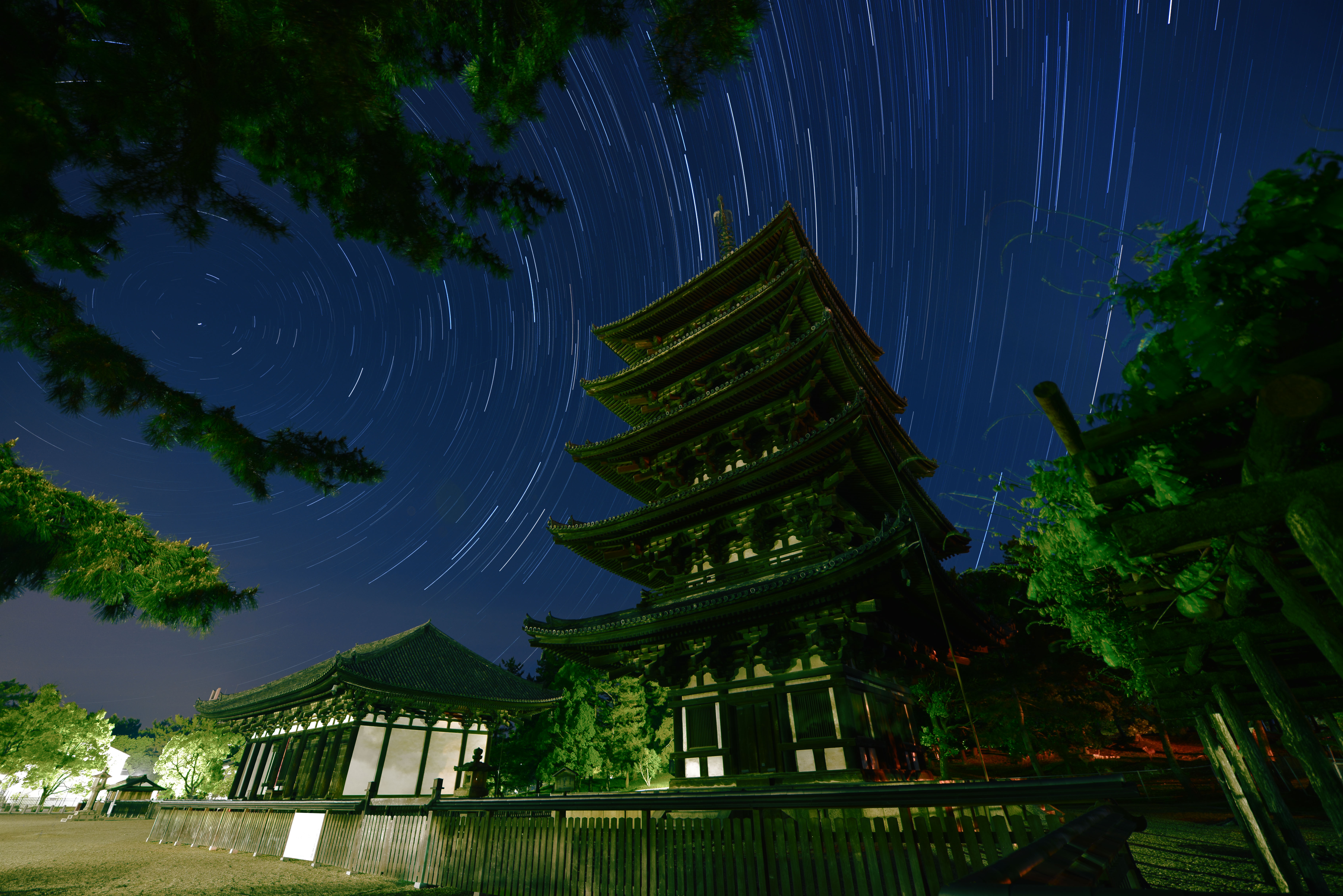 【興福寺・五重塔】撮影地▶︎奈良市