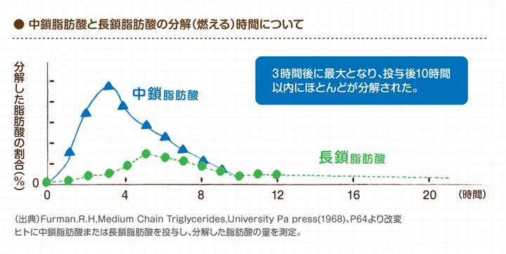中鎖脂肪酸の分解時間は長鎖脂肪酸に比べて4倍早い!