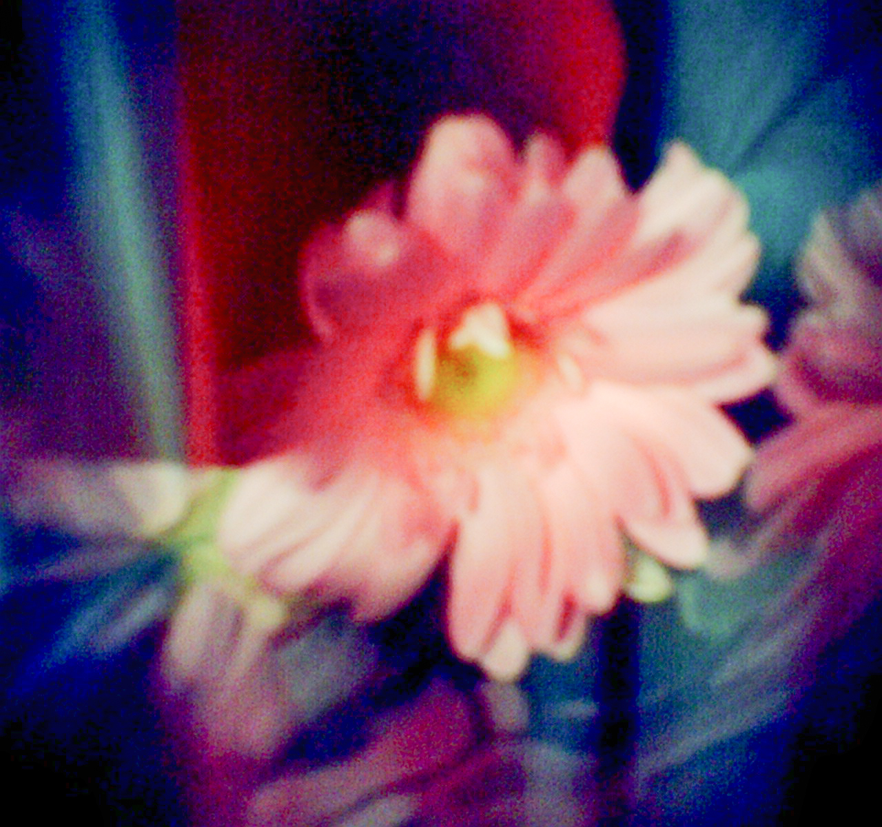 SQ30mm写真2