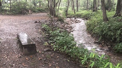 遊び小屋コニファーに流れる小川