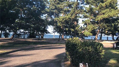 bサイトの様子2