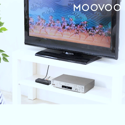 テレビで確認しているシーン