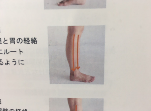 ルートローラーで毎日5分のマッサージ 脚のむくみを根本から解消しよう