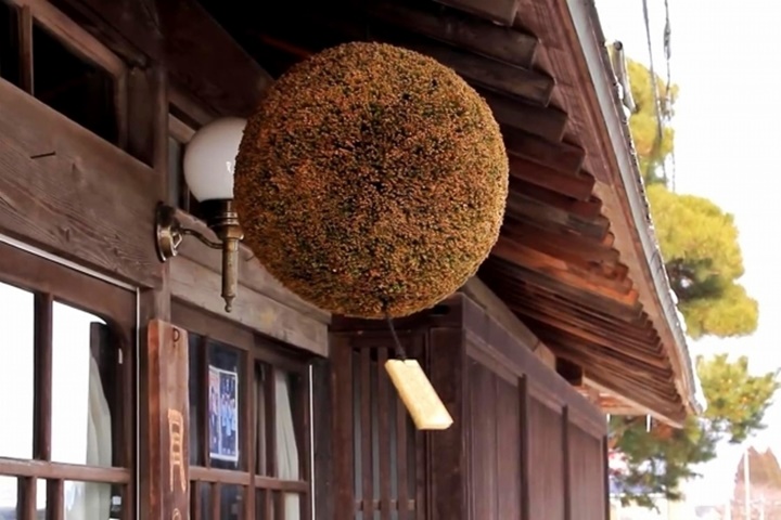 茶色い杉玉