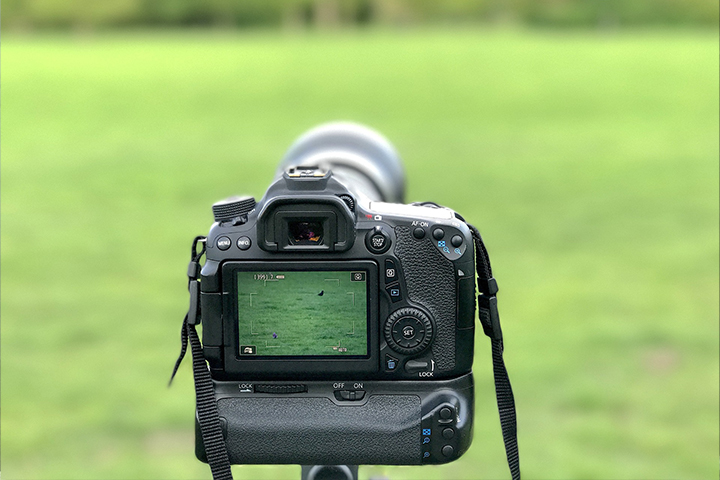 Canonの一眼レフ