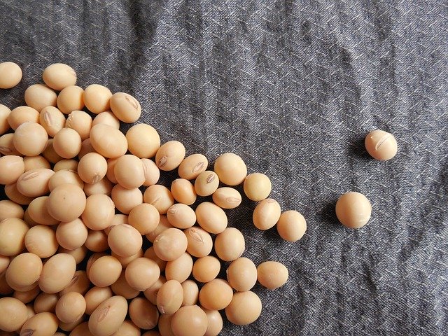 味噌の原料である大豆