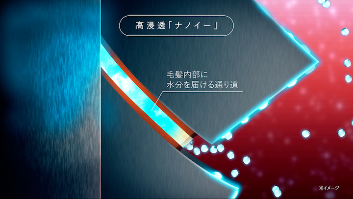 高浸透「ナノイー」の毛髪内部へのアプローチ画像(パナソニック提供)