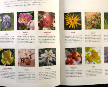 ヴェレダのパンフレットの写真