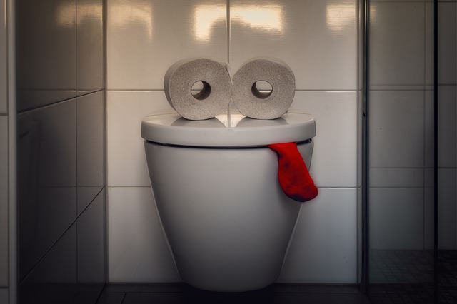 トイレットペーパーと便器の写真