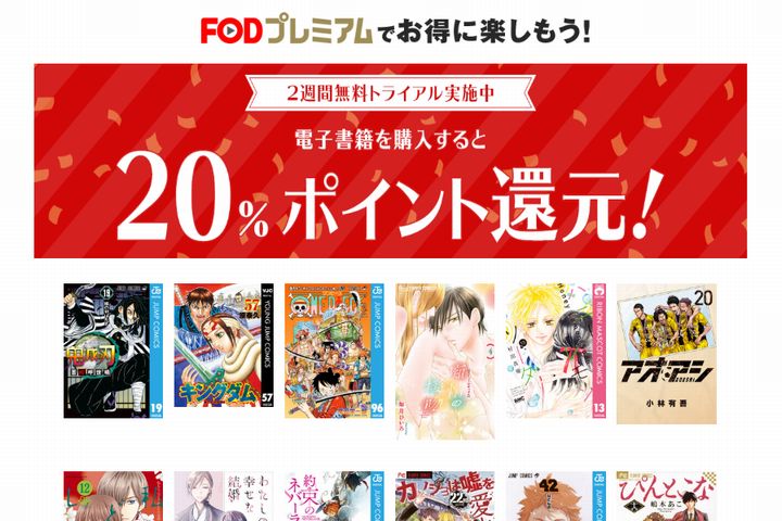 FODプレミアムのイメージ画像