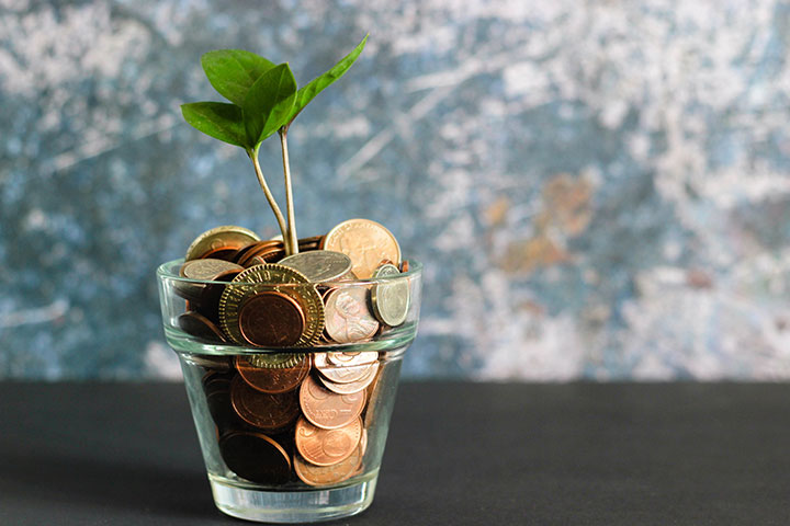 お金と植物が入ったグラス