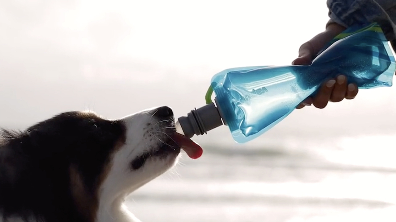 飼い主にも愛犬にもやさしい 感動的に使いやすい犬用携帯ボトル Vapur Ez Lick Bouncy バウンシー