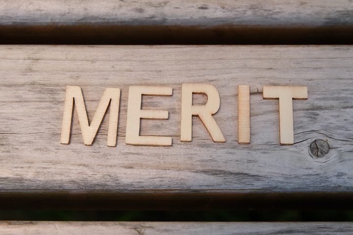 MERITの写真
