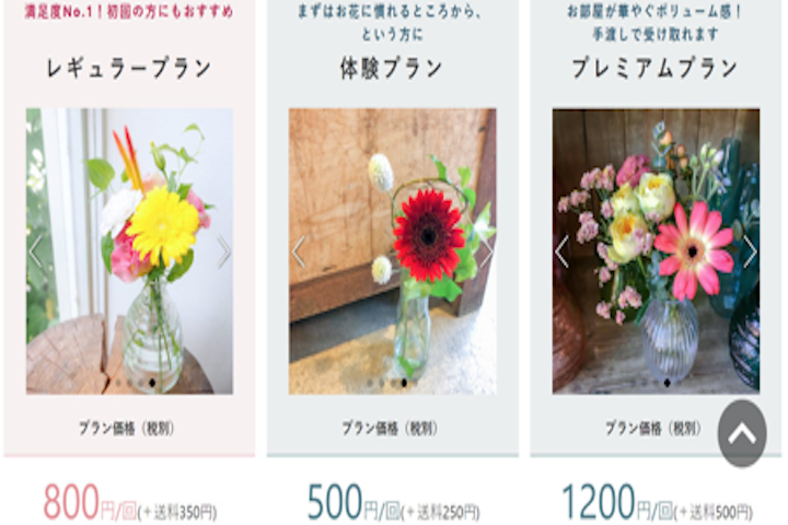 ブルーミーライフの3つのプランの写真