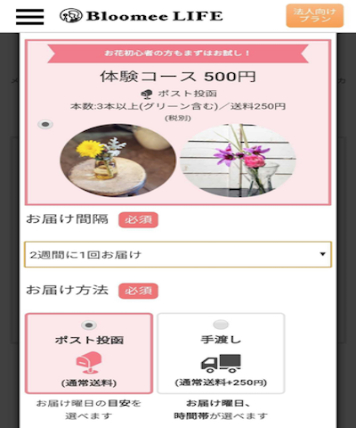 申込ページ(スマホ)のスクリーンショット