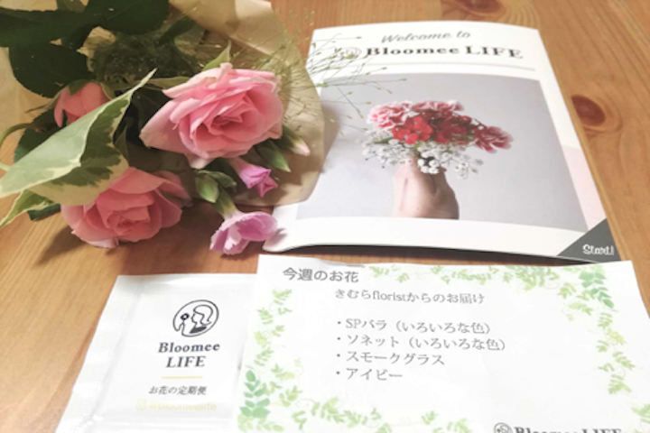 体験プランの内容物の写真