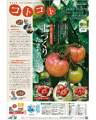 パルシステムのカタログ「コトコト」の画像