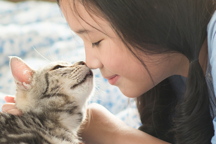 毎月の電気代で、動物たちを助けよう|どうぶつでんきのイメージ画像