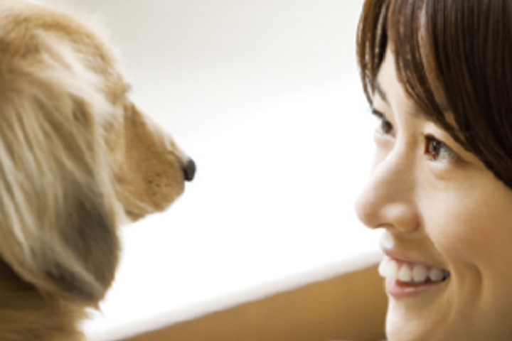 毎月の電気代で、動物たちを助けよう|どうぶつでんきのイメージ画像