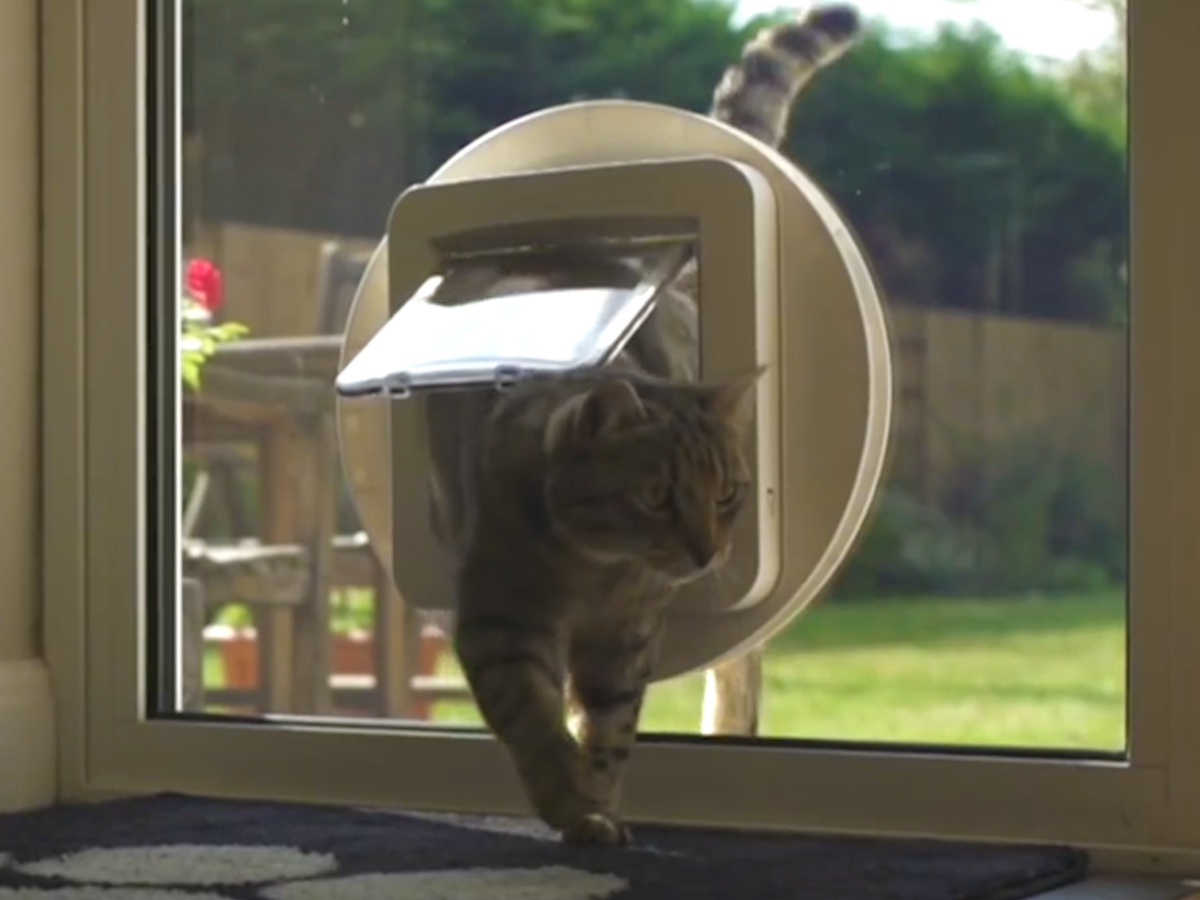 親しきペットにも礼儀あり。出入りをコントロールするペットドア