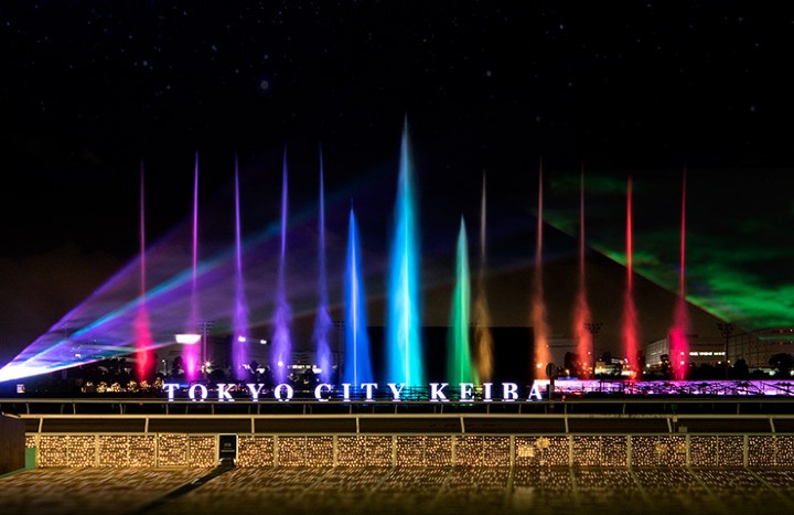 東京メガイルミの写真