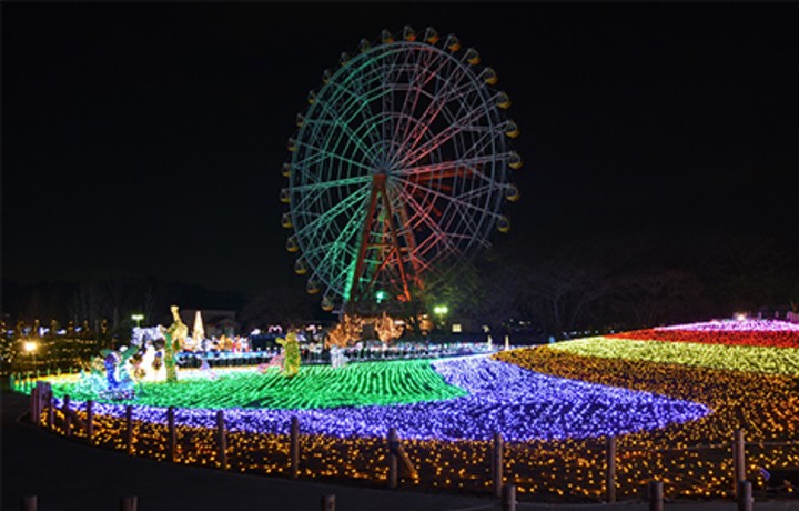 東武動物公園ウィンターイルミネーション過去の写真