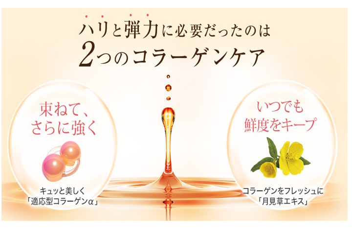 【化粧品】エンリッチ 化粧液 II しっとり│ファンケルオンラインのイメージ画像