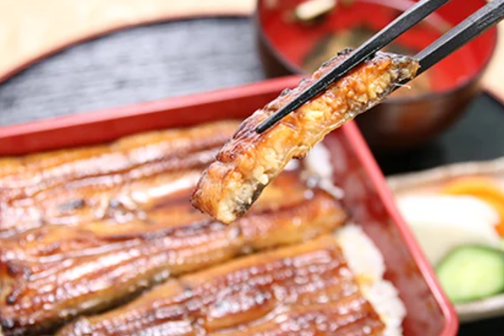 【お礼の品徹底比較】プロが選ぶおすすめのうなぎ20種類の特徴まとめ | ふるさと納税 [ふるさとチョイス]のイメージ画像