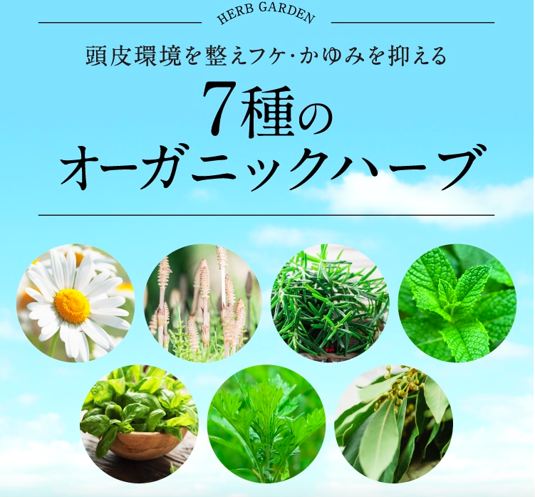 7種のハーブの写真
